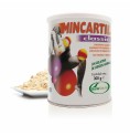 Soria Natural 关节保健食品 Mincartil 300 克
