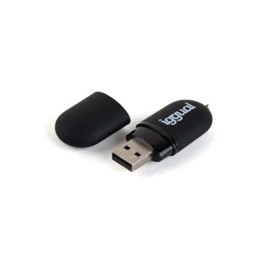USB-minne iggual IGG318492 Svart USB 2.0 x 1