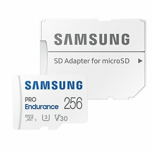 Minneskort Samsung MB-MJ256K 256 GB