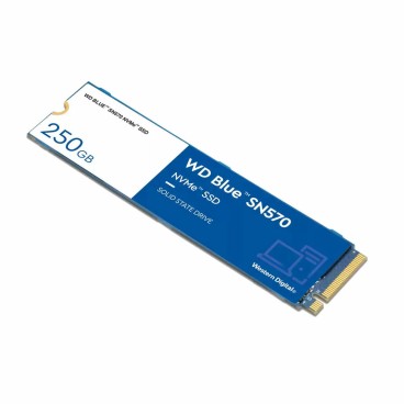Hårddisk Western Digital BLUE 250 GB SSD