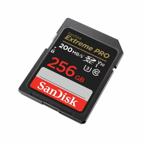 SDHC Minneskort Western Digital SDSDXXD 256 GB