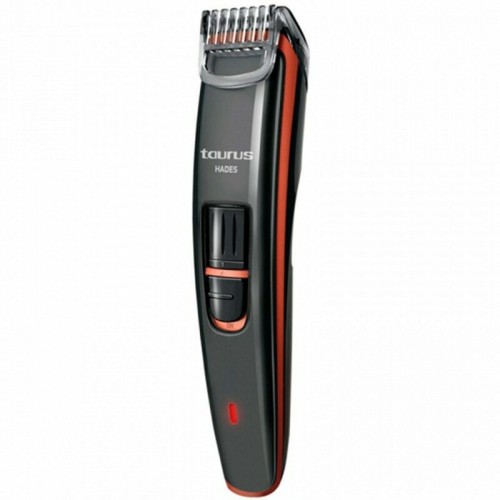 Skäggtrimmer Taurus 903907000 2W Inox