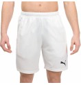 Sportshorts för män TEAMLIGA 931835 Puma 931835 04 Padel