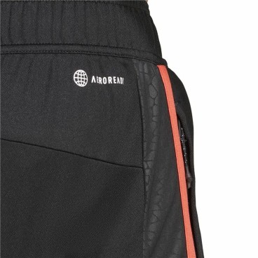 Sportshorts för män Adidas Workout Base Svart