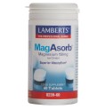 食品补充剂 Lamberts MagAbsorb 镁 60 定量