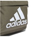 Skolryggsäck Adidas CLSC BOS BP HR9810 Grön