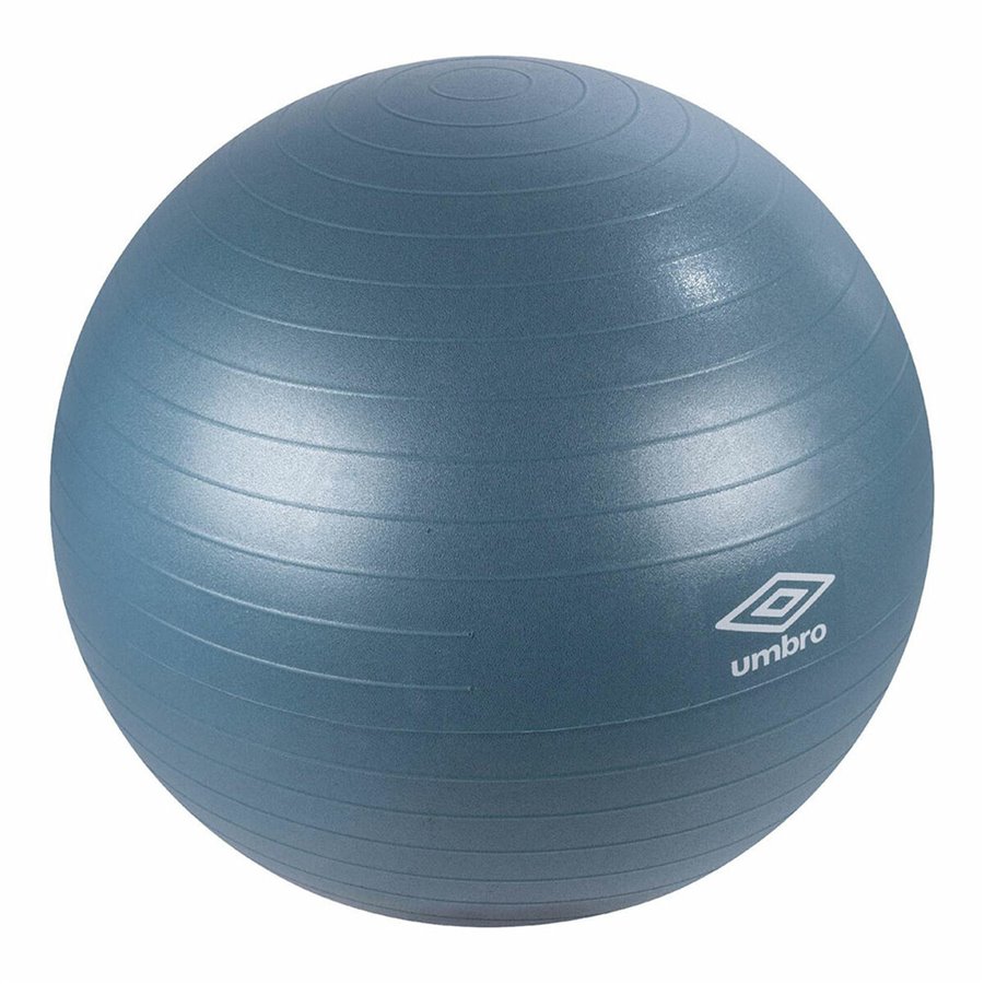 直径 65 厘米蓝色健身球