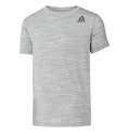 Barn T-shirt med kortärm Reebok Essentials Marble Melange Ljusgrå