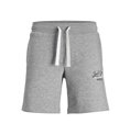 Sportshorts för män Jack & Jones JPSTANDY SWEAT 12225087 Grå