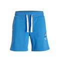 Sportshorts för män Jack & Jones JPSTANDY SWEAT 12225087 Blå