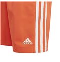 Sportshorts för barn Adidas Chelsea Orange