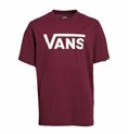 Vans 棕色儿童短袖 T 恤--Drop V Boy-B