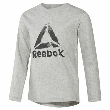 T-shirt med lång ärm Barn Reebok Boys Training Essentials Ljusgrå