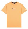 Champion 短袖 T 恤 圆领 M 橙色