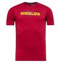 Barn T-shirt med kortärm Nike FC Barcelona Club Röd