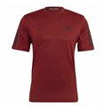 T-shirt med kortärm Herr Adidas  T365 Training  Mörkröd