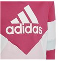 Adidas 连帽衫，女孩拼色