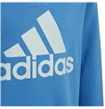 Adidas 连帽运动衫，蓝色女孩必备单品