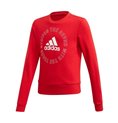 Adidas 连帽毛衣, Girls G Bold Crew