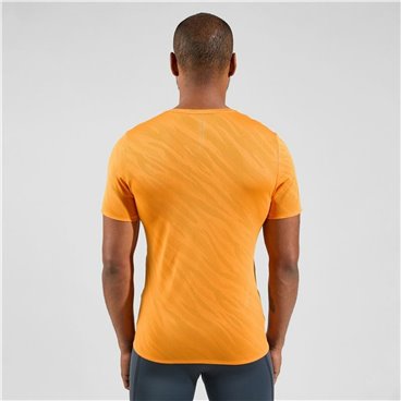 T-shirt med kortärm Unisex Odlo Zeroweight Enginee Orange