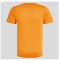 T-shirt med kortärm Unisex Odlo Zeroweight Enginee Orange