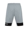 Sportshorts för män Le coq sportif Essentiels N°1 Ljusgrå