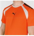 T-shirt med kortärm Herr Puma TeamLIGA Orange Män