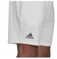 Sportshorts för män Adidas Club Stetch Vit