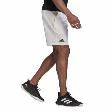 Sportshorts för män Adidas Club Stetch Vit