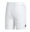 Sportshorts för män Adidas Club Stetch Vit