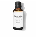 Eterisk olja Daffoil Aceite Esencial Eukalyptus 50 ml