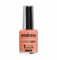 nagellack Andreia Hybrid Fusion H42 (10,5 ml)