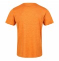 T-shirt med kortärm Herr Regatta  Regatta Fingal Edition Orange