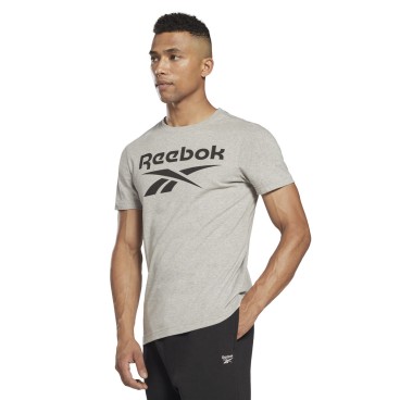 T-shirt med kortärm Herr Reebok BIG LOGO TEE HD4219 Grå