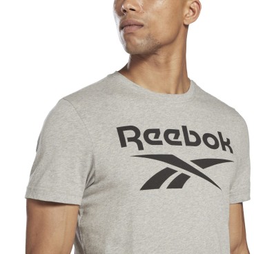 T-shirt med kortärm Herr Reebok BIG LOGO TEE HD4219 Grå