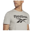 T-shirt med kortärm Herr Reebok BIG LOGO TEE HD4219 Grå