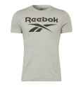 T-shirt med kortärm Herr Reebok BIG LOGO TEE HD4219 Grå