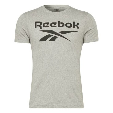 T-shirt med kortärm Herr Reebok BIG LOGO TEE HD4219 Grå