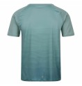 T-shirt med kortärm Herr Regatta Pinmor Aquamarine