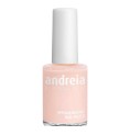 nagellack Andreia Professional Hypoallergenic Nº 48 (14 ml)