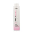 Schampo Colour Protect Montibello Protect 300 ml