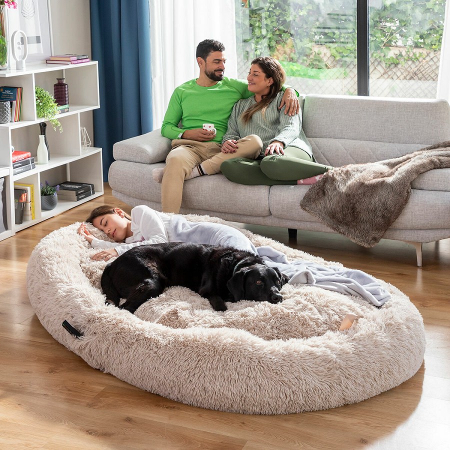 Hundsäng för människor  Human Dog Bed XXL InnovaGoods Beige