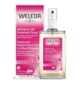 Roll-On Nypon Deodorant Weleda 4001638088084 (100 ml)