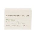 Nattkräm Mizon Phyto Plump Collagen 50 ml