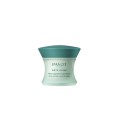 Concealer Payot Pâte Grise 15 ml