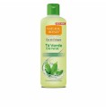 Parfym Unisex Natural Honey Té Verde EDC 750 ml