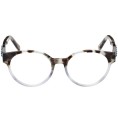 Glasögonbågar Swarovski SK5453-50055 Ø 50 mm