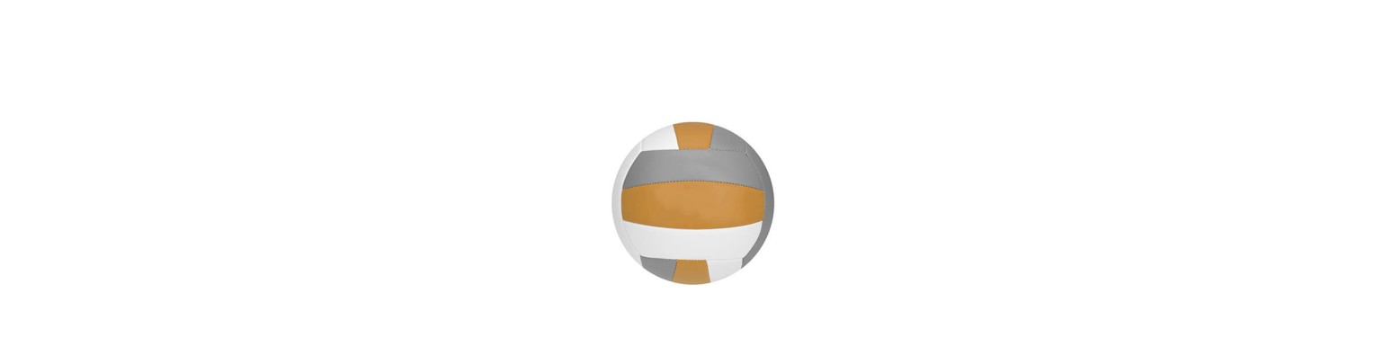 Volleyboll